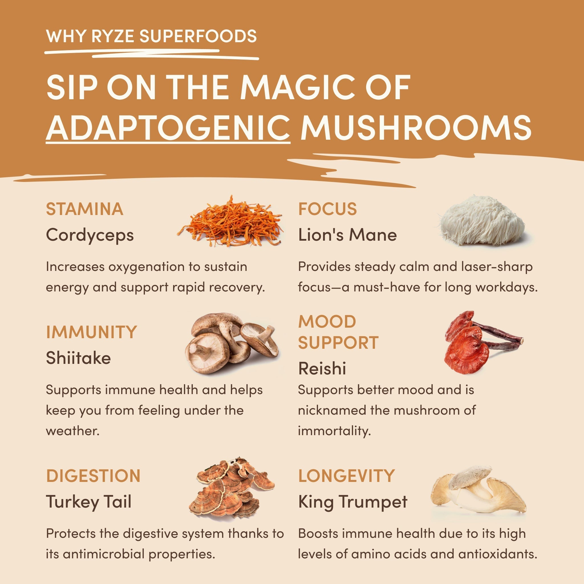 Mushroom Overnight Oats (14 Servings) - Start with RYZE