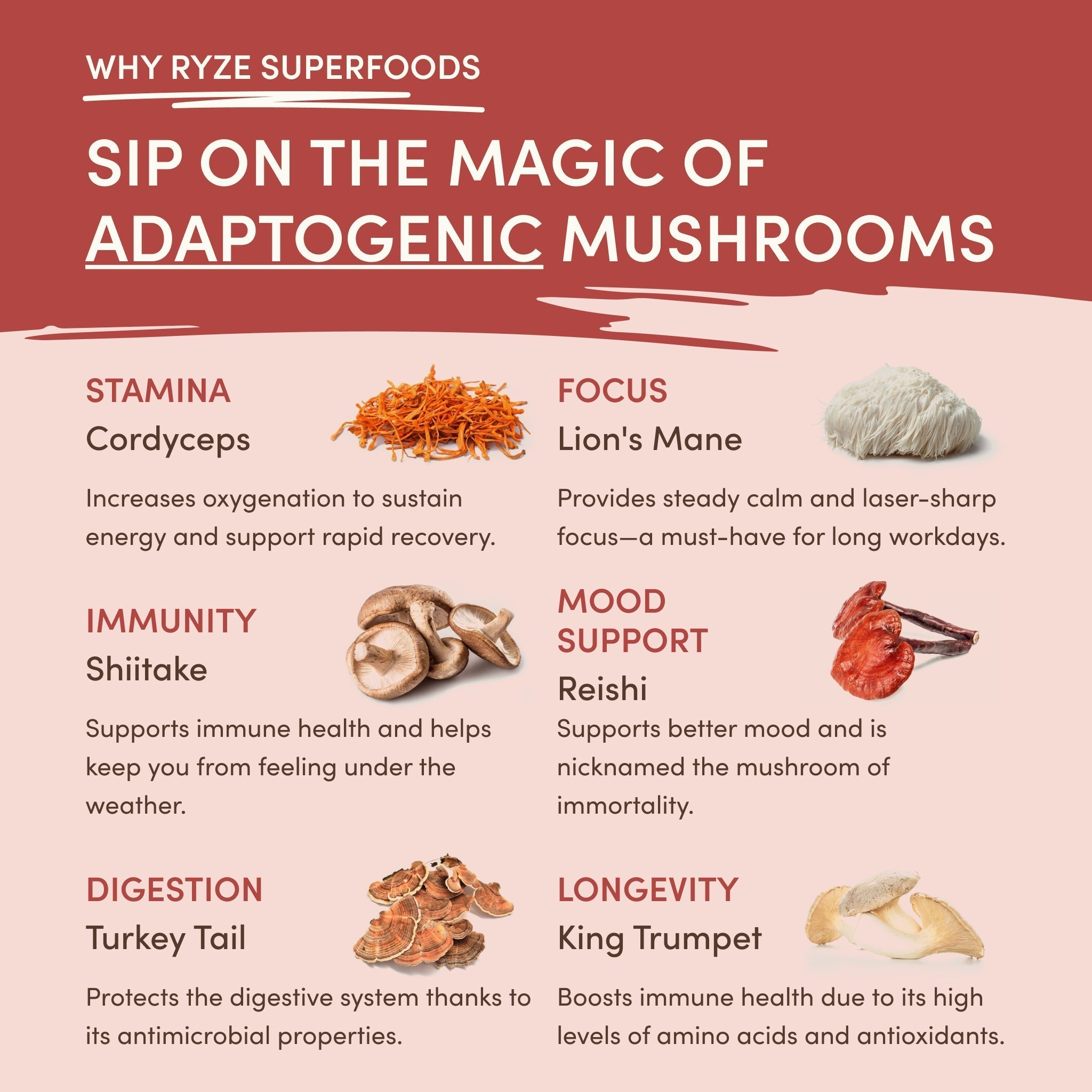 Mushroom Chai (20 Servings) - Morning Routine Ready