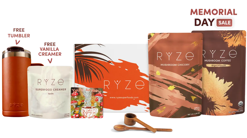 Lasting Energy Bundle